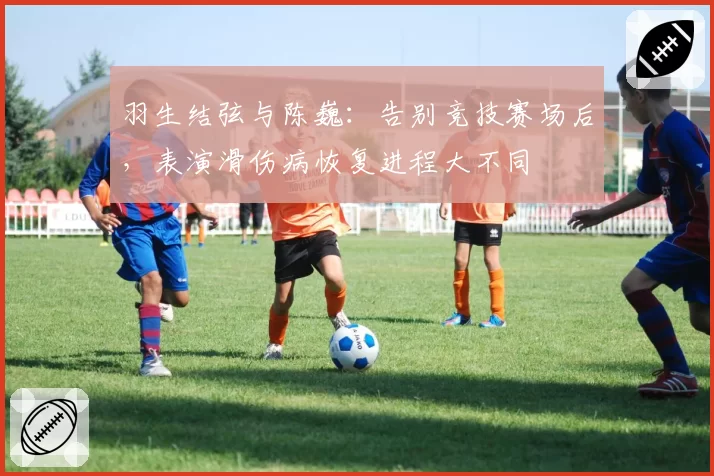 羽生结弦与陈巍:告别竞技赛场后,表演滑伤病恢复进程大不同