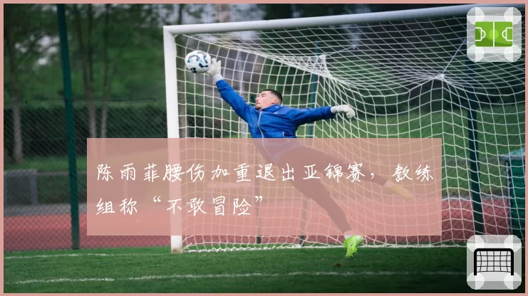 陈雨菲腰伤加重退出亚锦赛,教练组称“不敢冒险”