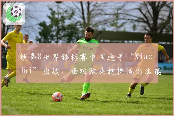 铁拳8世界锦标赛中国选手“Xiao Hai”出战，面对欧美抱摔流打法能否找到破解之道？