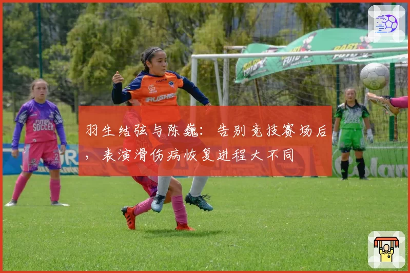 羽生结弦与陈巍：告别竞技赛场后，表演滑伤病恢复进程大不同