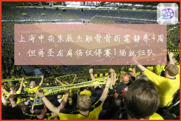 上海申花朱辰杰肋骨骨折需静养4周,但蒋圣龙肩伤仅停赛1场就归队